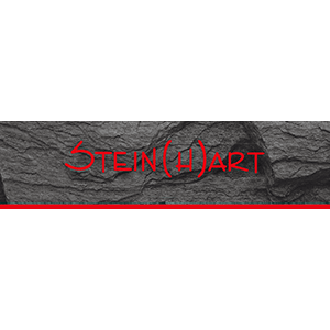 Stein (H) ART GmbH Logo