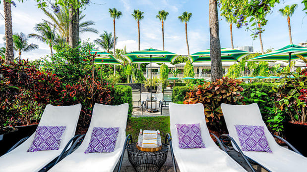 Images Kimpton Surfcomber Hotel by IHG