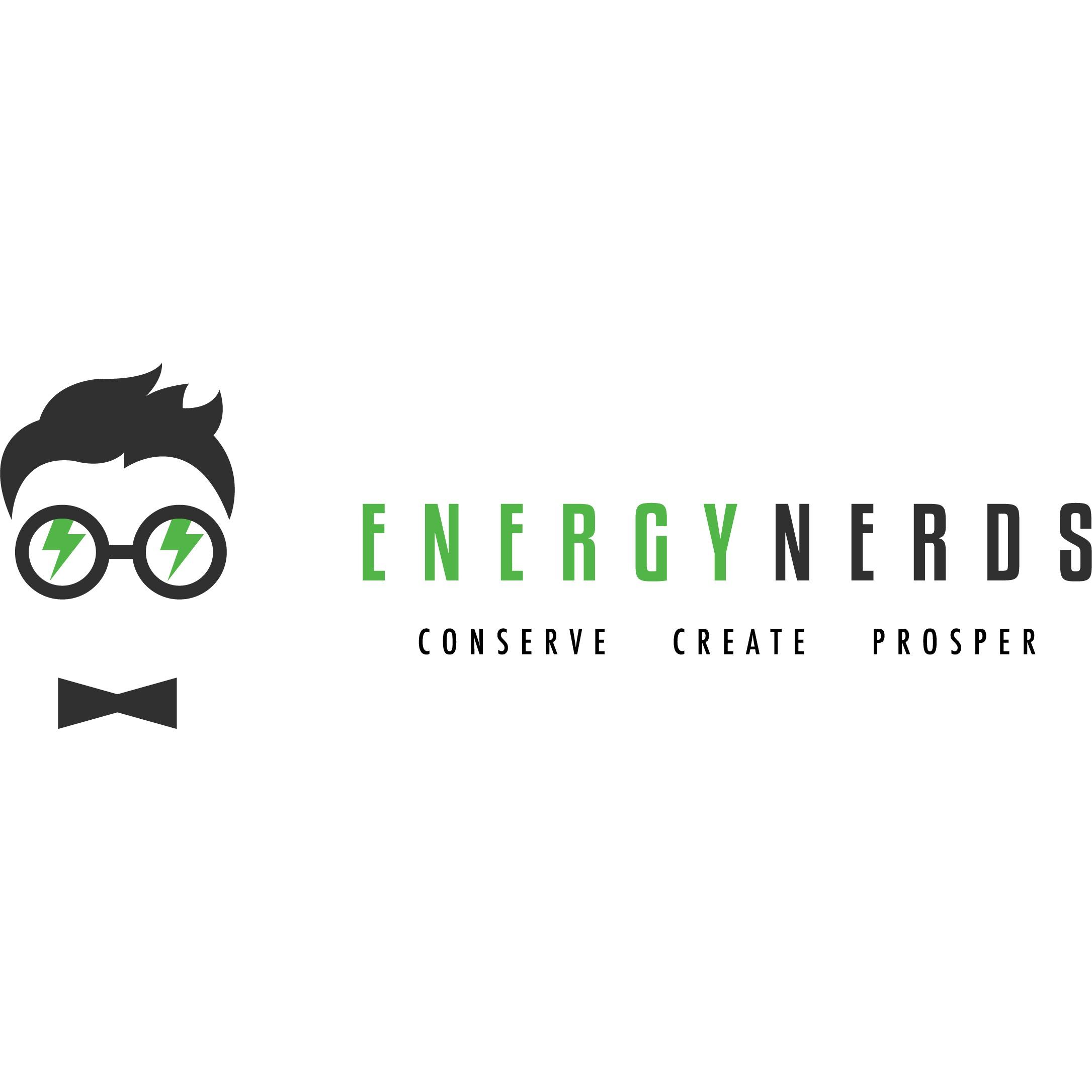 Energy Nerds Logo