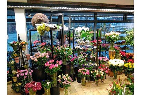 Blumenhaus Winter GbR (Duisburg) kontaktieren dialo.de