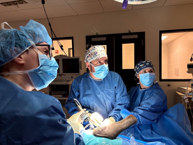 Images VCA Palm Beach Veterinary Specialists