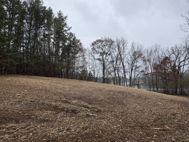 Images TK Land Management LLC