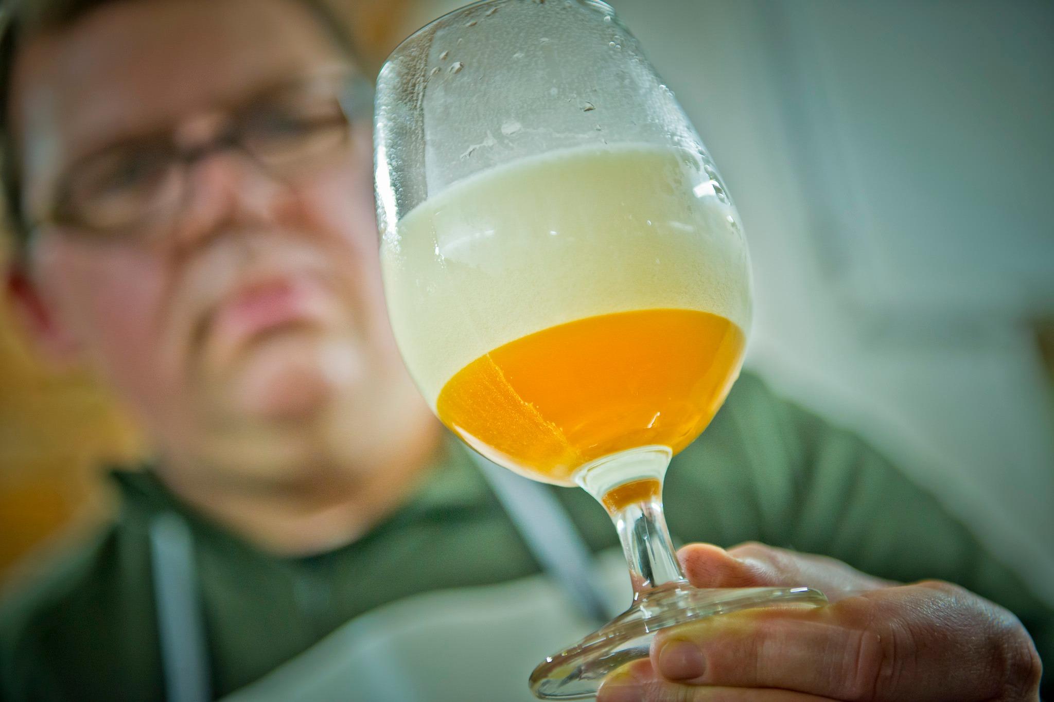 UniBier GmbH, Universitätsring 10 in Wien