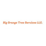 Big Orange Tree Services LLC Logo