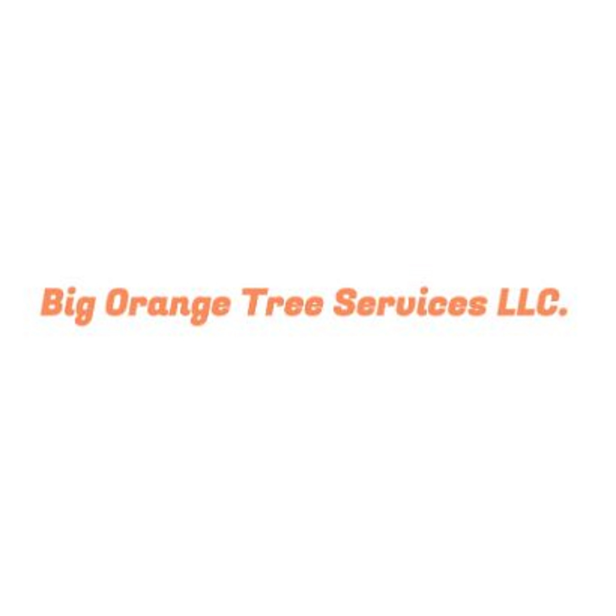 Big Orange Tree Services LLC Logo