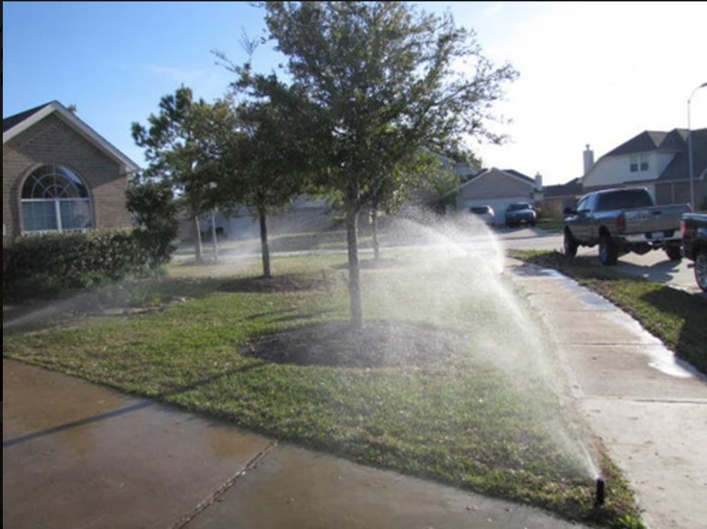 Cut Above Landscaping and Irrigation Photo