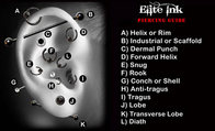 Elite Ink Tattoo Studios of Metro Detroit   Ear Piercing Guide/Chart