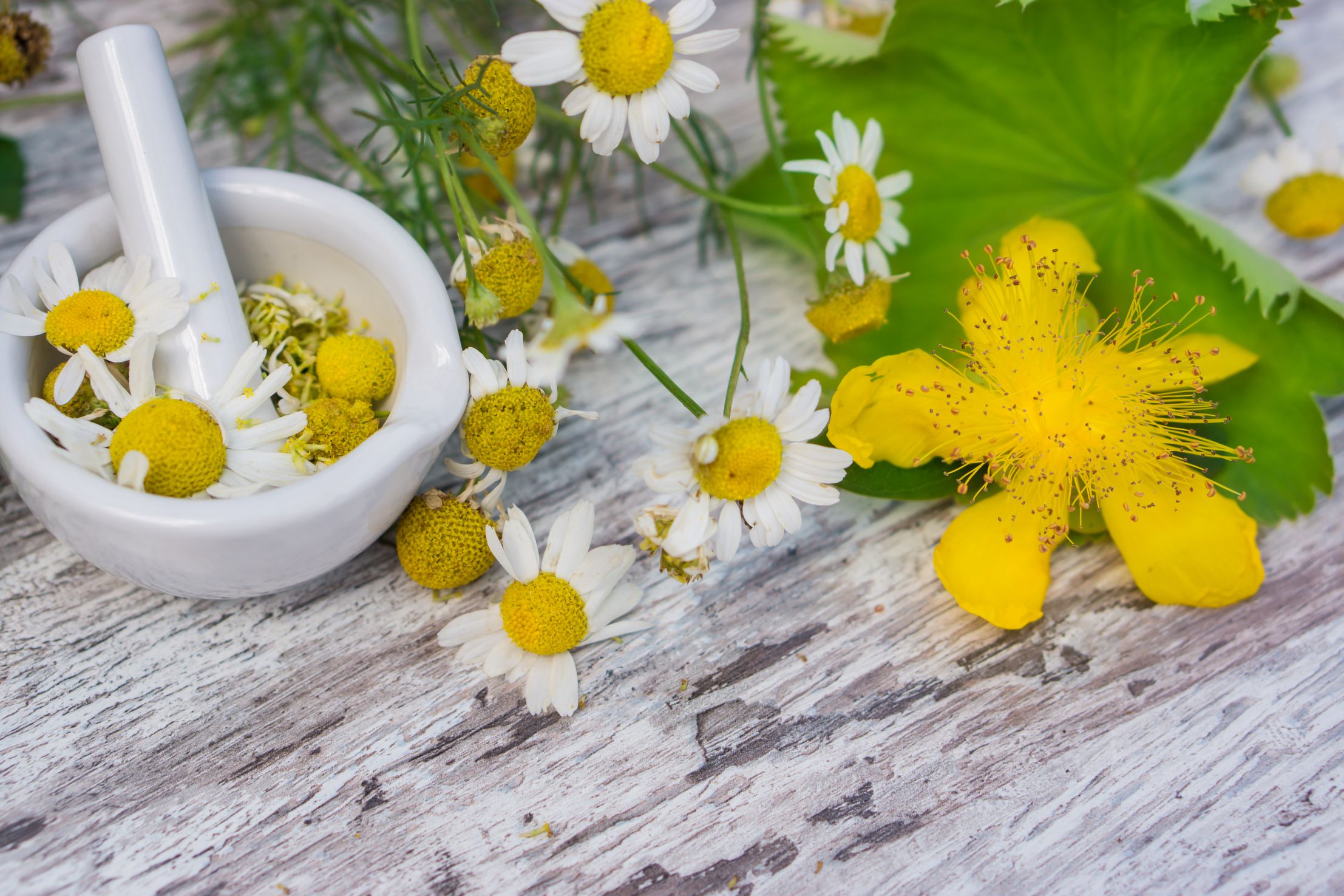 Bilder Pharmacie du Grand-Lancy