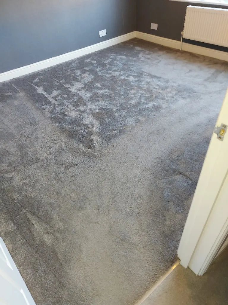 Images Titanium Cleaning