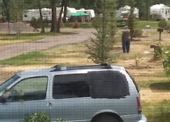 Mogote Meadow Cabins & RV Park Image