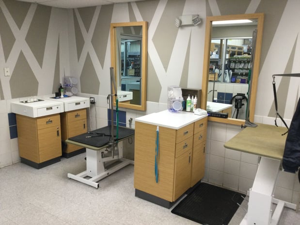 Images Petco Grooming