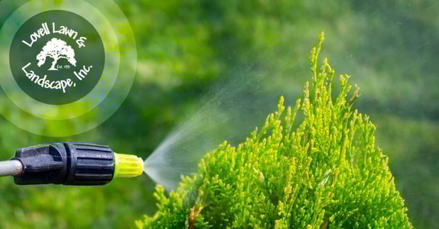 Images Lovell Lawn & Landscape Inc.