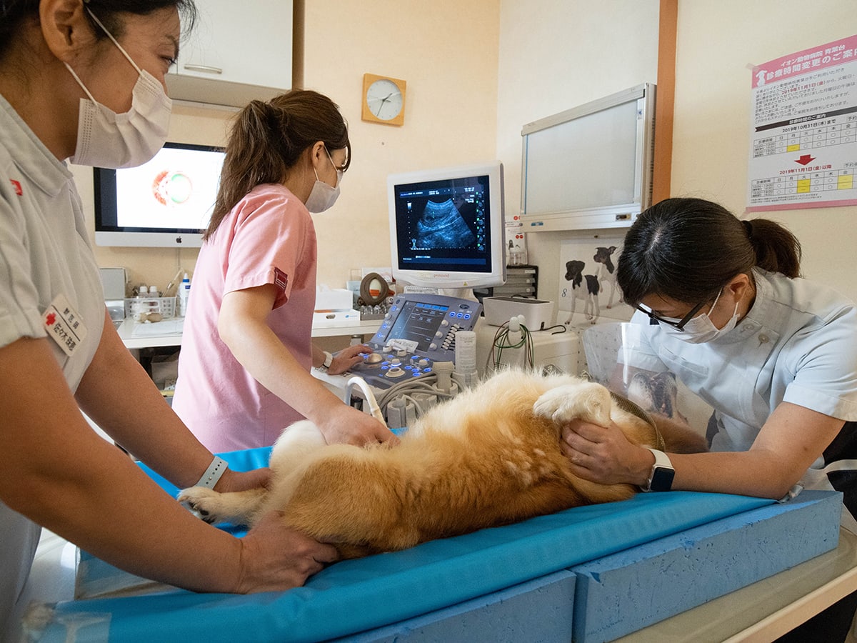 Images ペテモ動物病院 キテラプラザ青葉台