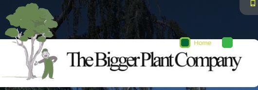 Images The Bigger Plant Company Ltd