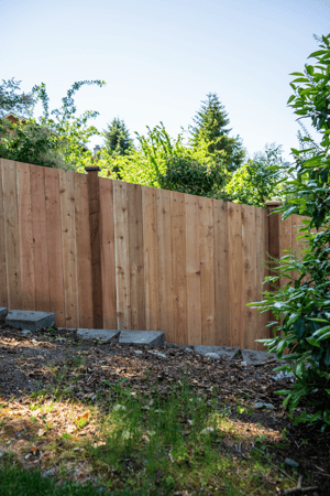 Images Rare Bears Fencing