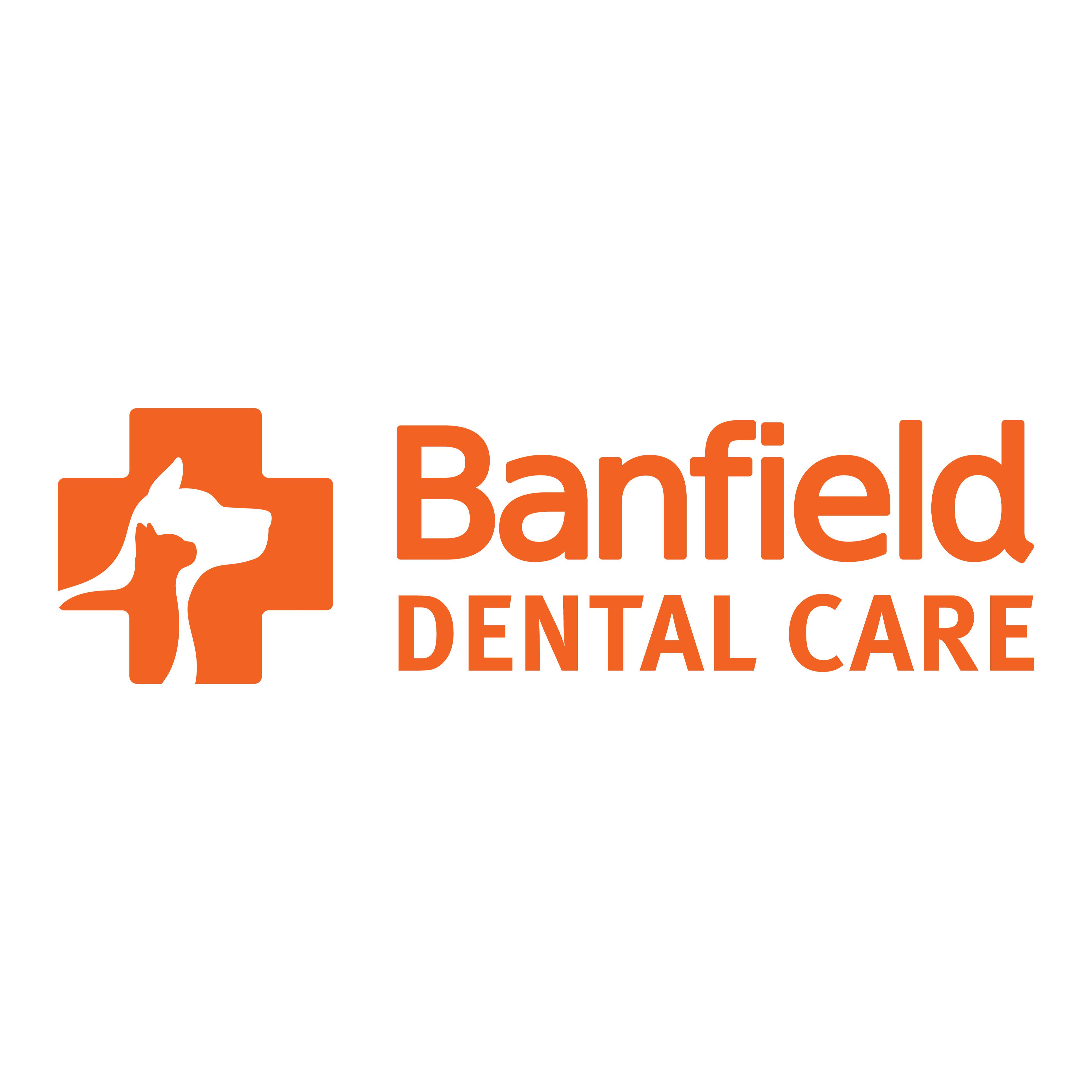 Banfield Dental Care
