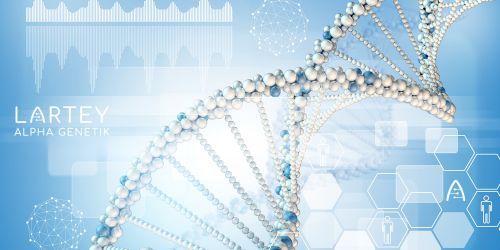 Annette Lartey Heilpraktikerin, Kaiser-Friedrich-Str. 6 in Wiesbaden