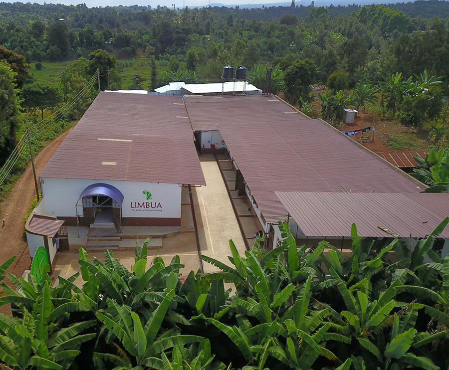 LIMBUA Deutschland GmbH, Mühlenstr. 8a in Berlin