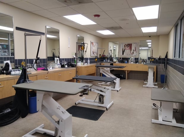 Images Petco Grooming