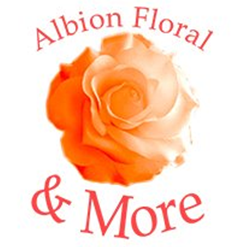 Albion Floral & More Logo
