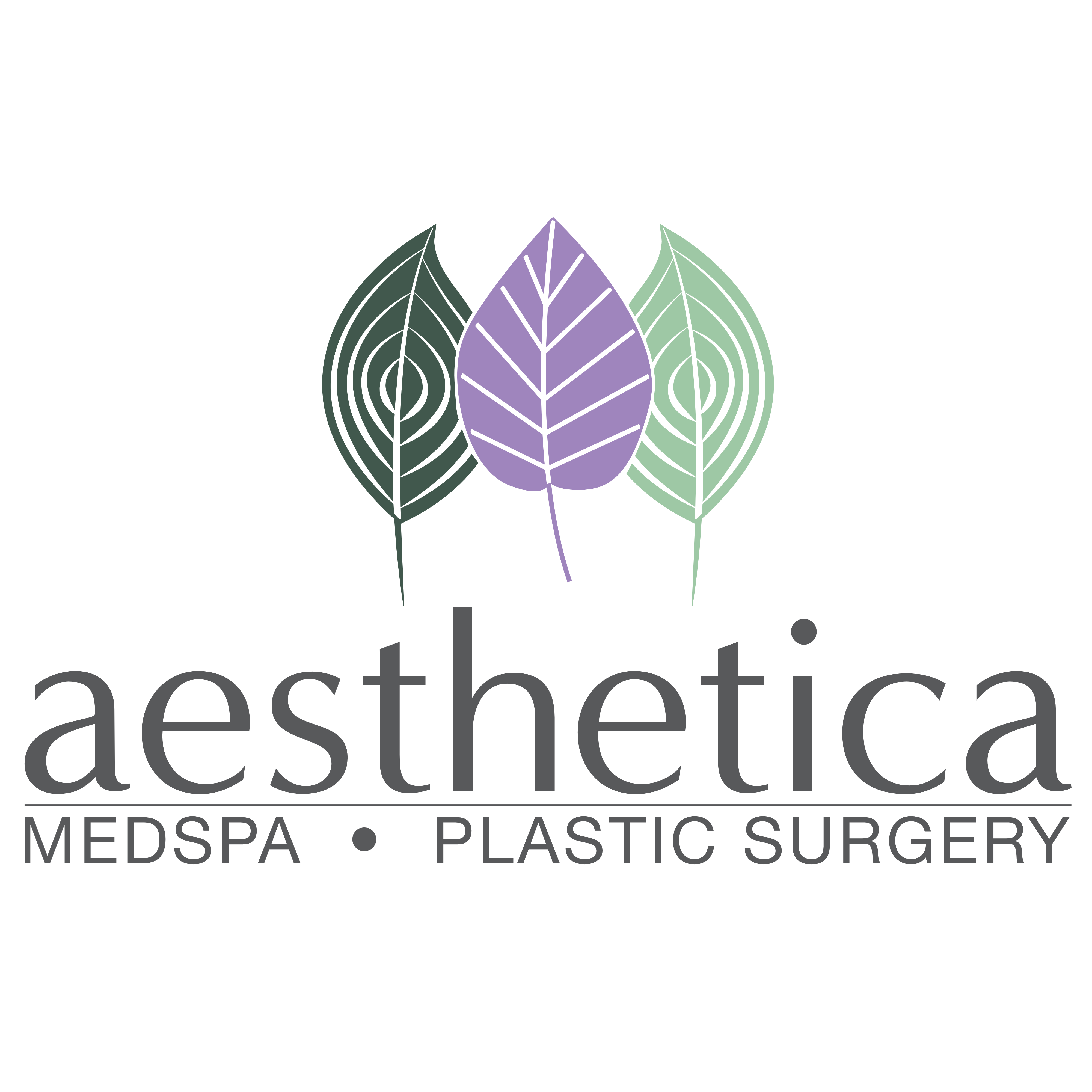 Kimball M Crofts, MD - Aesthetica Plastic Surgery - Lindon, UT 84042 - (801)785-8825 | ShowMeLocal.com