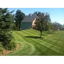 Scott's Lawn Services