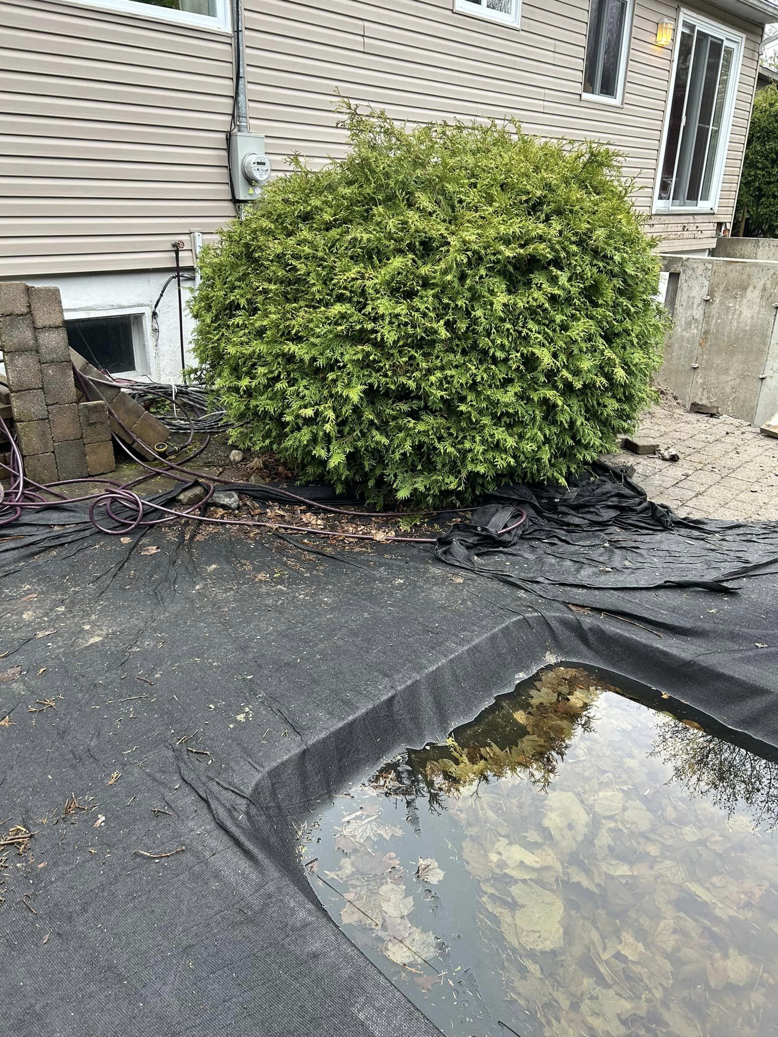 Images Taille de haie EB - Entretien de haie Saint-Hyacinthe