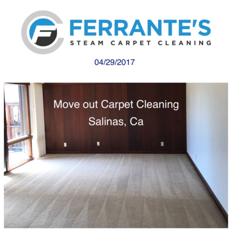 Images Ferrante's Steam Carpet Cleaning