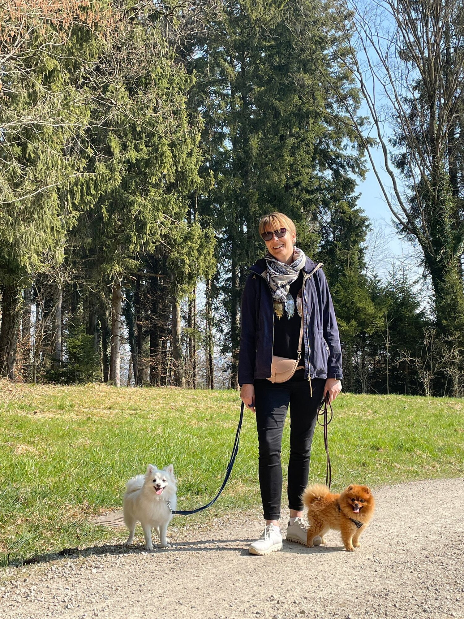 Bilder A-Z-Hundetraining