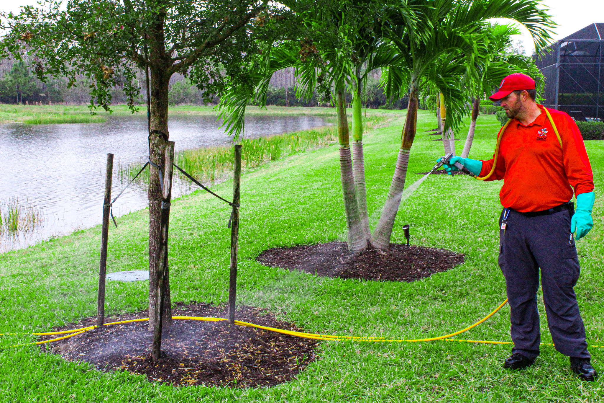A weed free, insect free, lush and green lawn is simply a phone call away to All “U” Need Pest Control! We specialize in using eco-friendly products because after all, what is the point of a healthy green lawn if the products are dangerous to children and pests? Call us today for more information on how you can have a beautiful lawn that compliments your home.