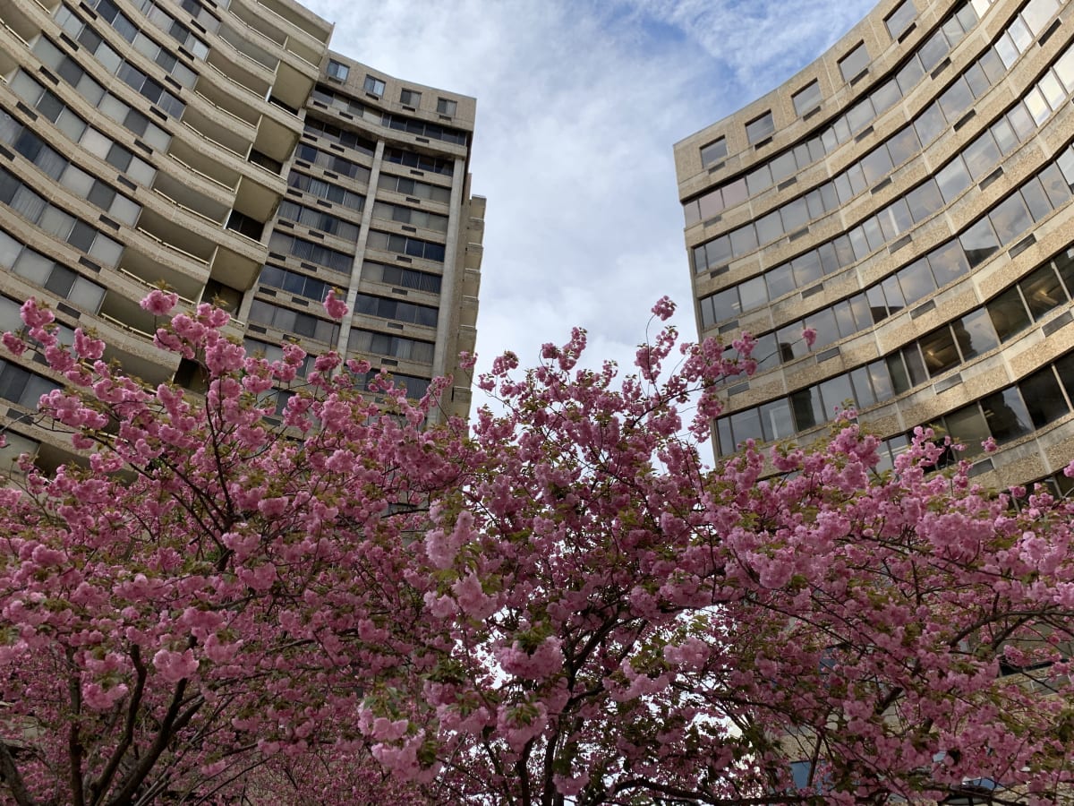 Apartment building