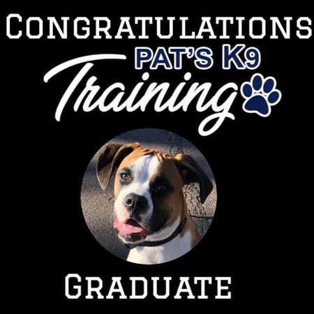 Image 5 | Pat's K9 Training, LLC