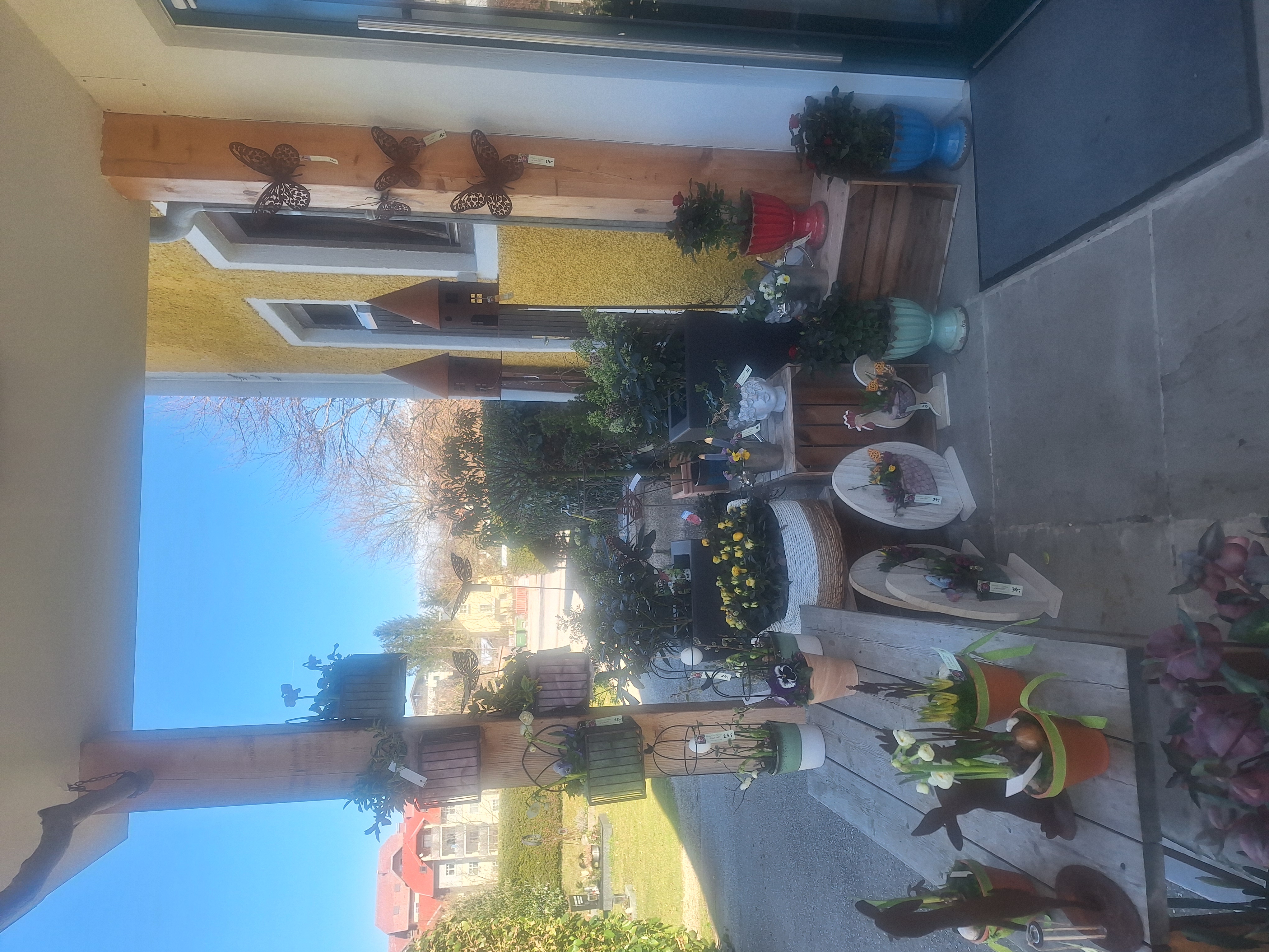 Bild 44 von Grün-Zone