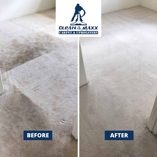 Images Clean to the Maxx