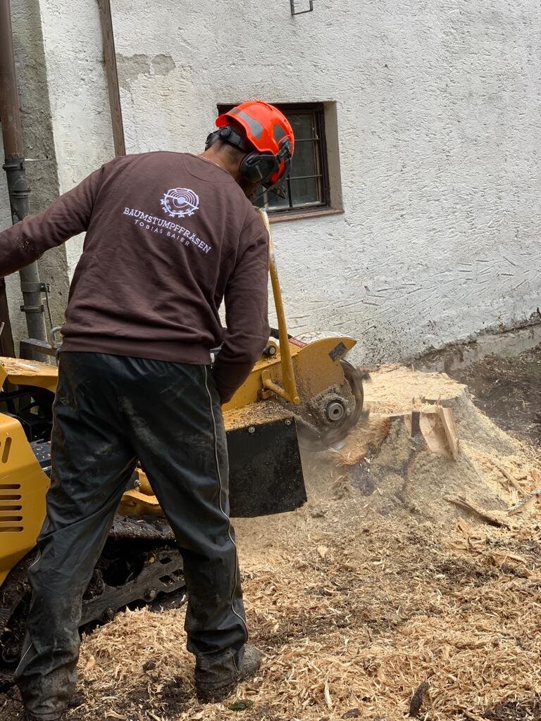 Baumstumpffräsen Tobias Baier, Mangfallstraße 16B in Bad Aibling
