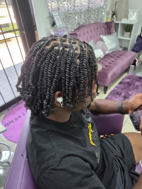 Images Officially Celebrity Braids