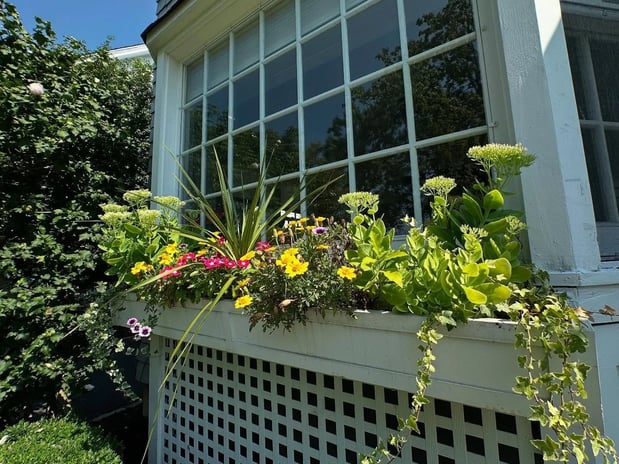 Images BT Property Services LLC