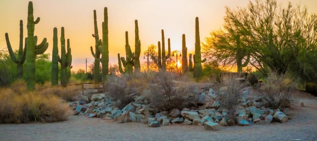 Images Holiday Inn Express & Suites Phoenix East - Gilbert by IHG