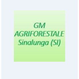 Gm Agriforestale Logo