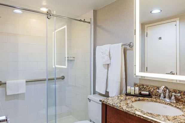 Images Embassy Suites by Hilton Dallas Market Center