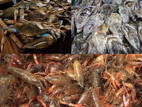 Images mekong asian seafood