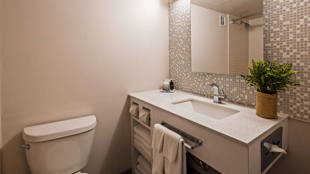 Lifestyle Suite One King Bathroom The Rushmore Hotel & Suites, BW Premier Collection Rapid City (605)348-8300