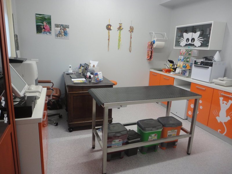 Images Ambulatorio Veterinario La Fenice