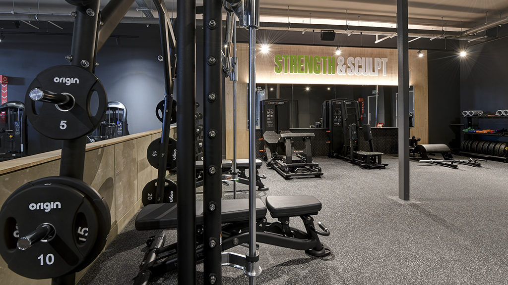Strength & Sculpt Area