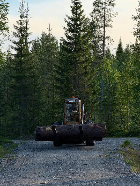 Images Umeå Trädservice