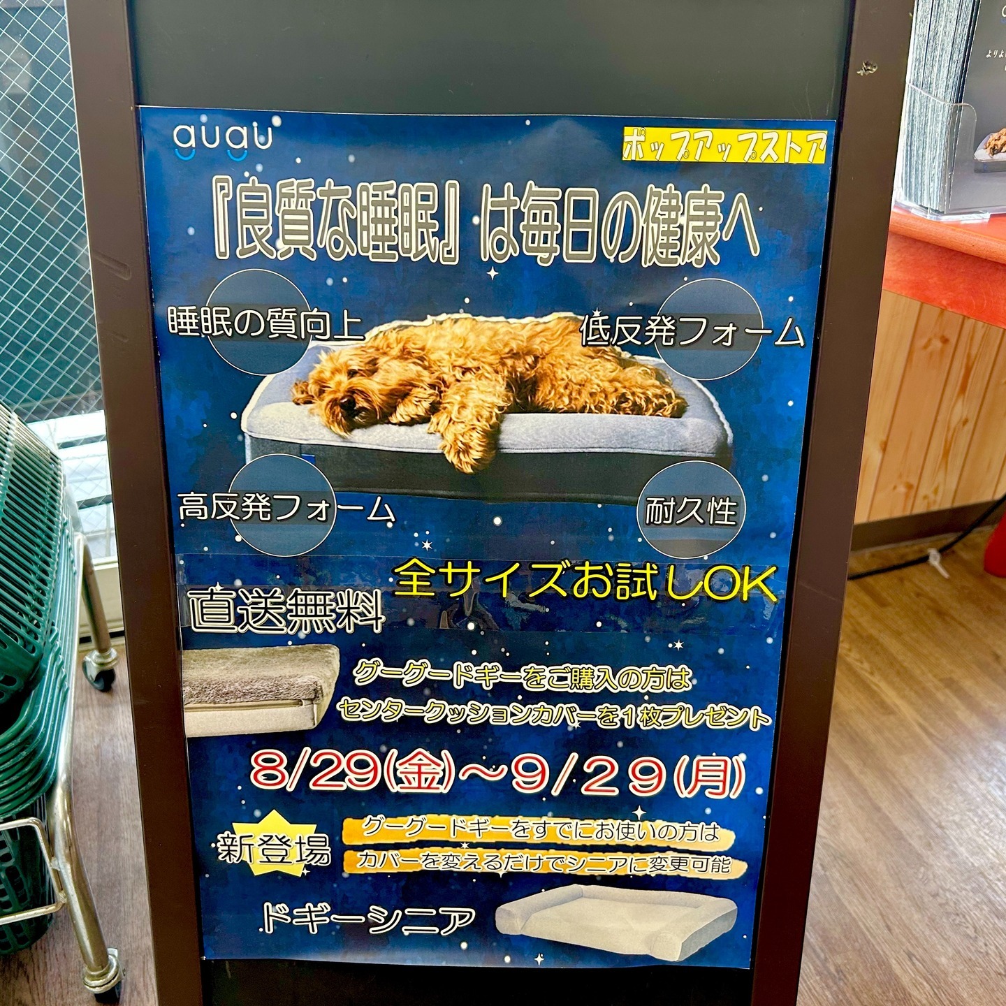 Images たまとポチ 宇津木店