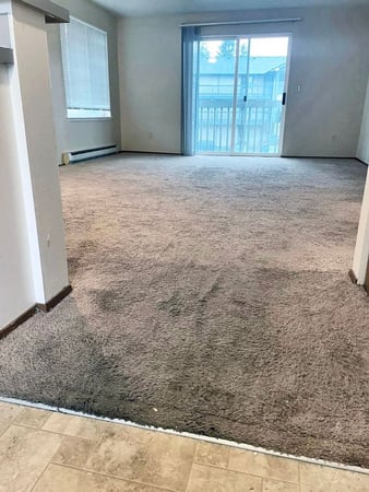 Images Integrity Carpet Care LLC