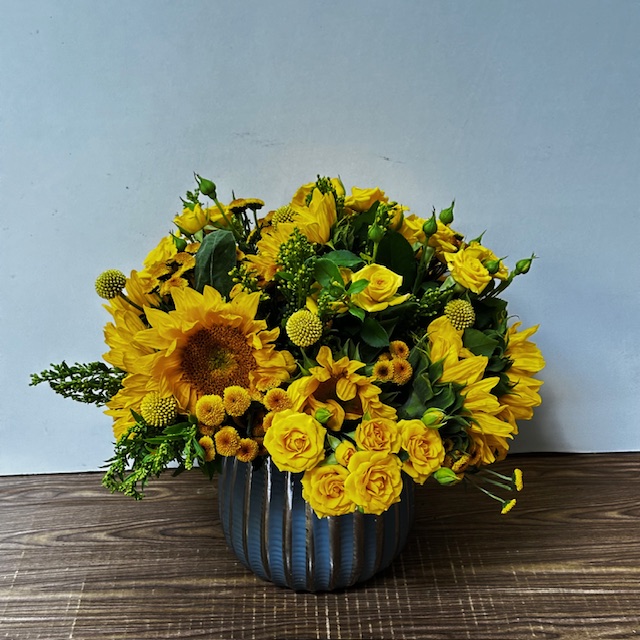 Images Jane's Roses & Flowers