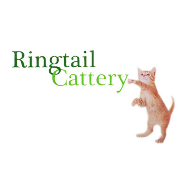 Ringtail Cattery Logo