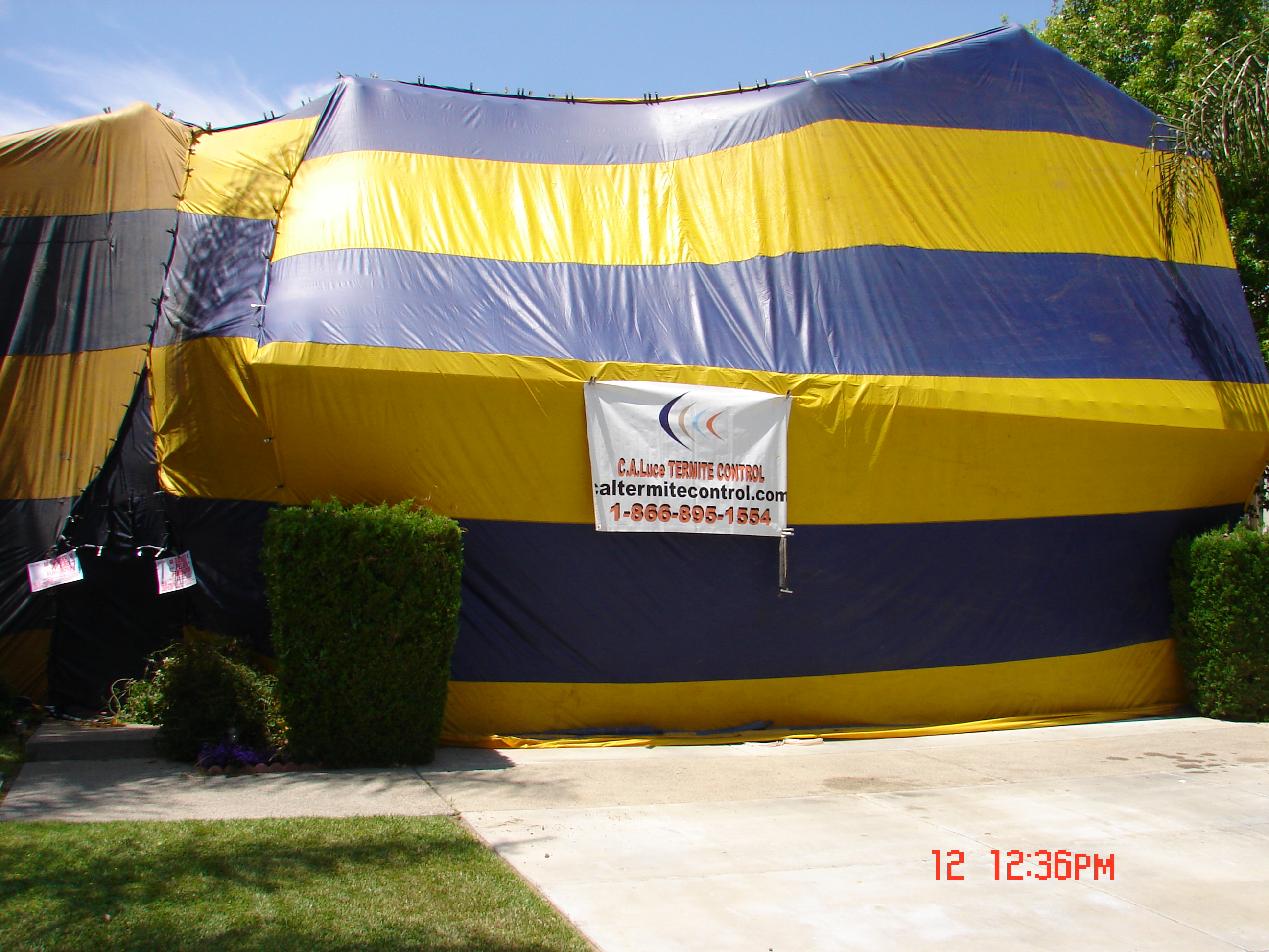 One of our Fumigation&#39;s.